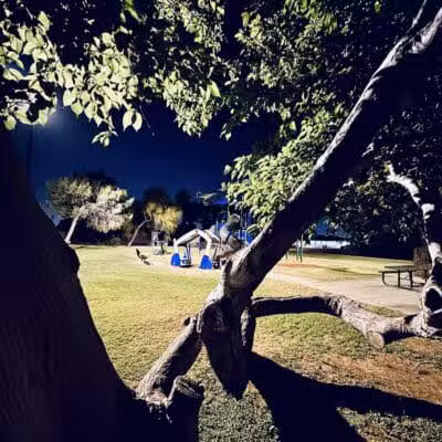 Mondo Park - Glendale, AZ