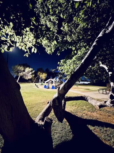 Mondo Park - Glendale, AZ