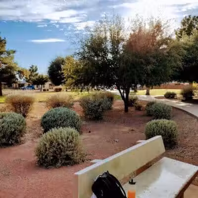 Gardenwood Park - Glendale, AZ