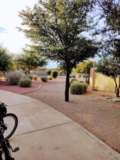 Gardenwood Park - Glendale, AZ