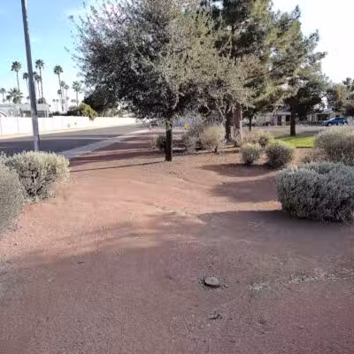 Gardenwood Park - Glendale, AZ