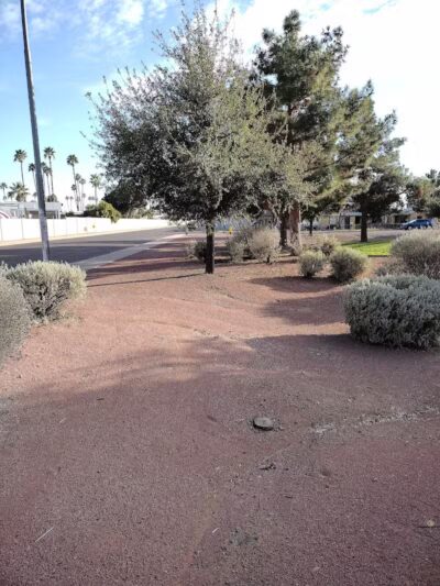 Gardenwood Park - Glendale, AZ