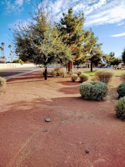 Gardenwood Park - Glendale, AZ