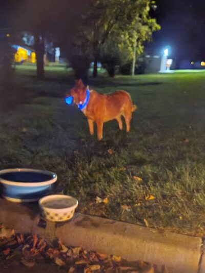 Glenns Ferry City Park