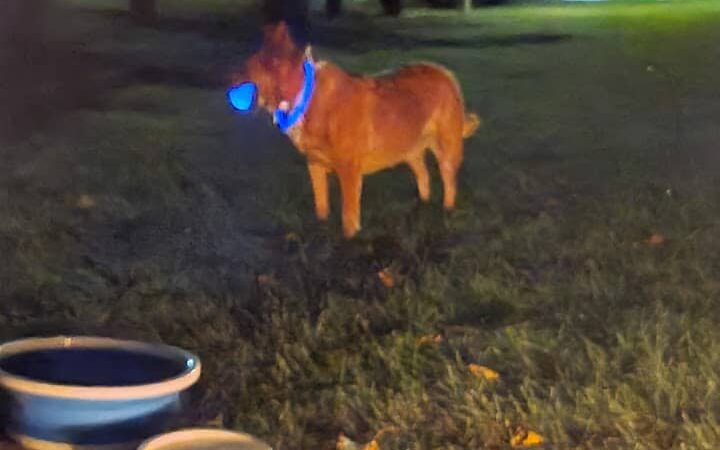 Glenns Ferry City Park