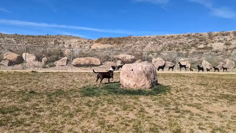 Dog Park - Globe, AZ
