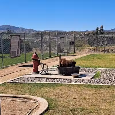 Dog Park - Globe, AZ