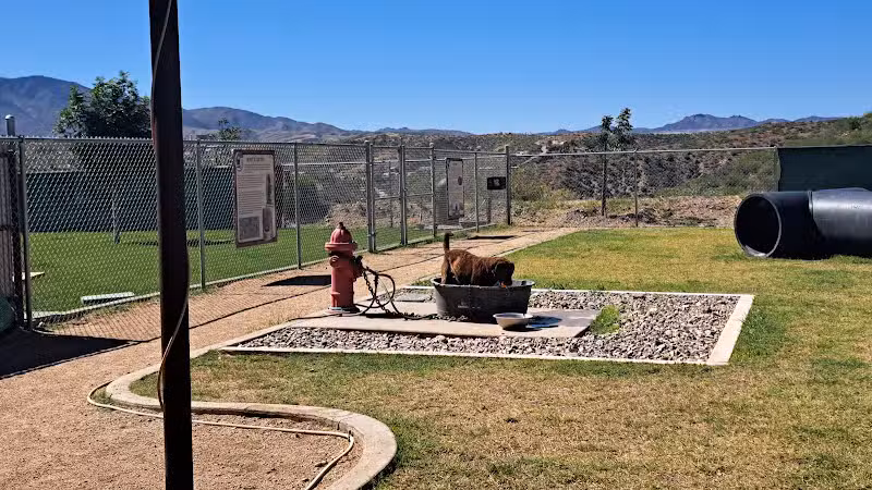 Dog Park - Globe, AZ