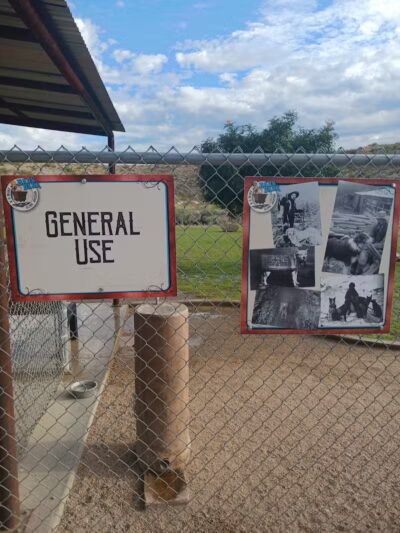 Dog Park - Globe, AZ