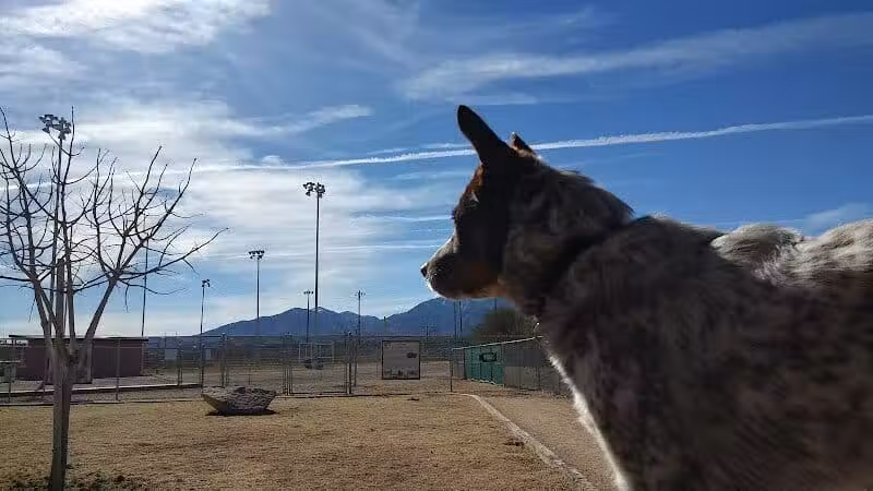 K-9 Mine Bark Park - Globe, AZ