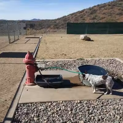 K-9 Mine Bark Park - Globe, AZ