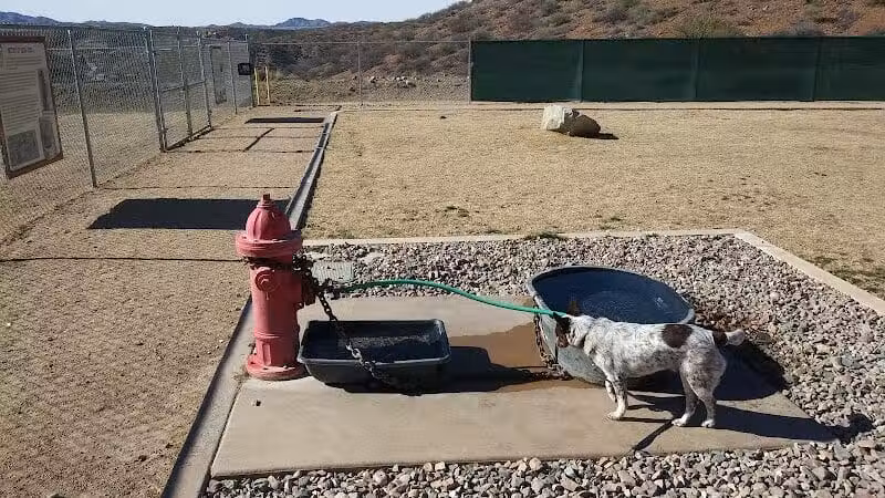 K-9 Mine Bark Park - Globe, AZ