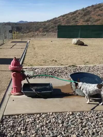 K-9 Mine Bark Park - Globe, AZ
