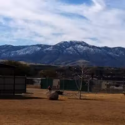 K-9 Mine Bark Park - Globe, AZ