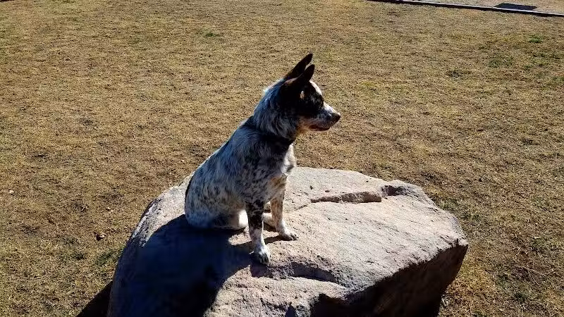 K-9 Mine Bark Park - Globe, AZ
