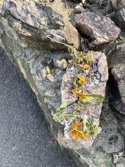 Myers park - Gloversville, NY