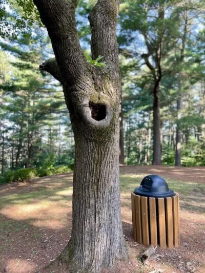 Myers park - Gloversville, NY