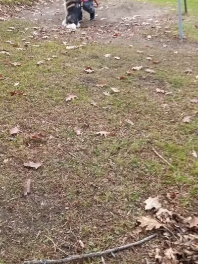 Myers park - Gloversville, NY