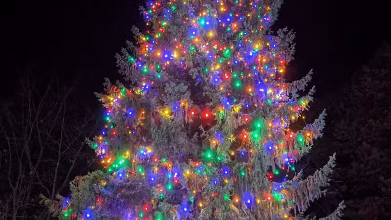 Wandel Park - Gloversville, NY