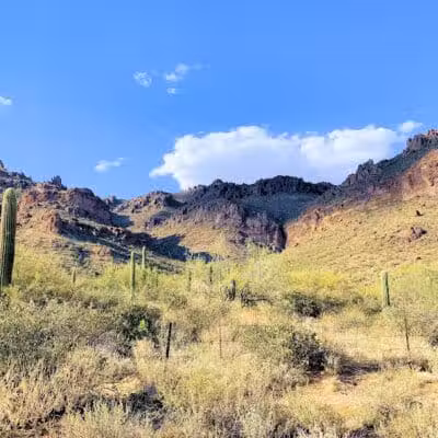 Carney Springs Waterfall - Gold Canyon, AZ