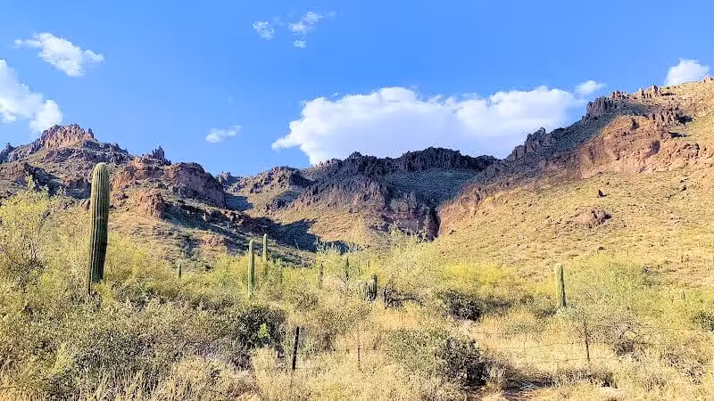 Carney Springs Waterfall - Gold Canyon, AZ
