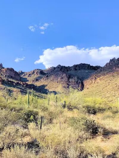 Carney Springs Waterfall - Gold Canyon, AZ
