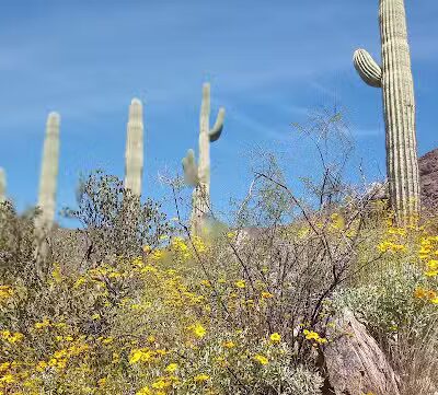 Carney Springs Waterfall - Gold Canyon, AZ