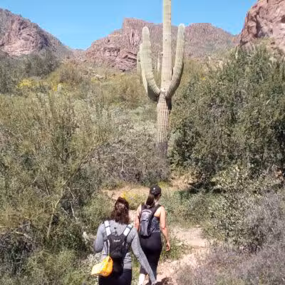 Carney Springs Waterfall - Gold Canyon, AZ