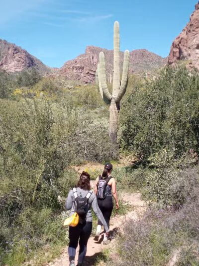 Carney Springs Waterfall - Gold Canyon, AZ