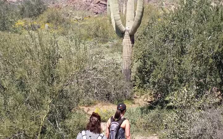 Carney Springs Waterfall - Gold Canyon, AZ