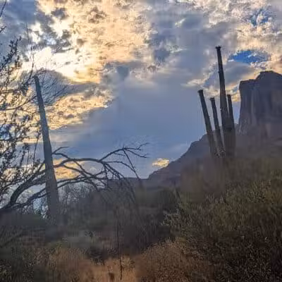Carney Springs Waterfall - Gold Canyon, AZ