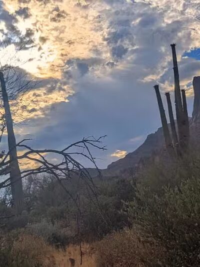 Carney Springs Waterfall - Gold Canyon, AZ