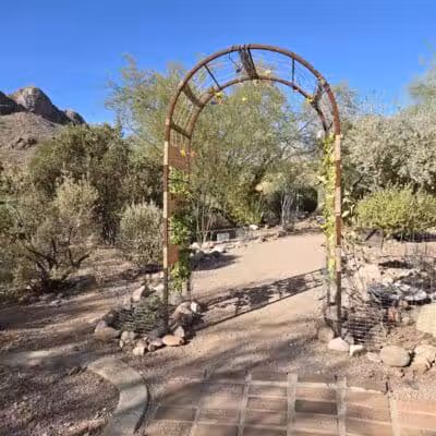 Dinosaur Park - Gold Canyon, AZ