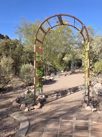 Dinosaur Park - Gold Canyon, AZ