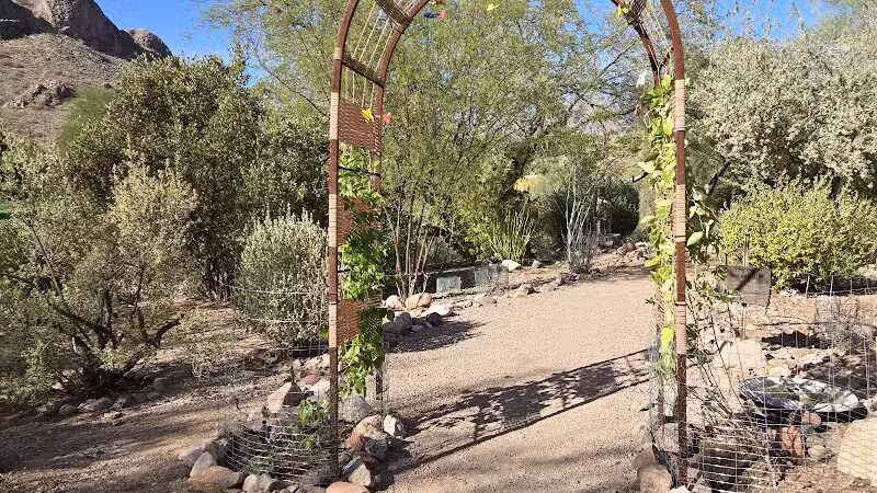 Dinosaur Park - Gold Canyon, AZ