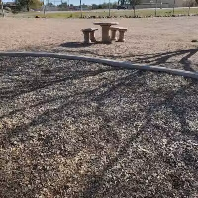 Dinosaur Park - Gold Canyon, AZ