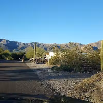 Dinosaur Park - Gold Canyon, AZ