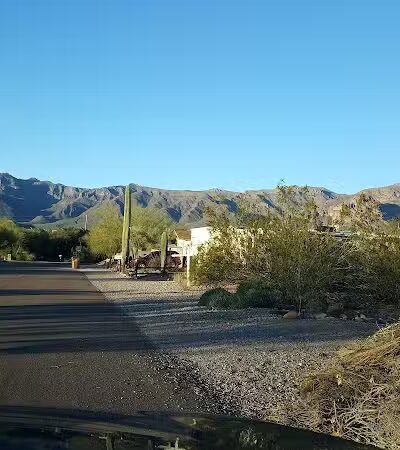 Dinosaur Park - Gold Canyon, AZ