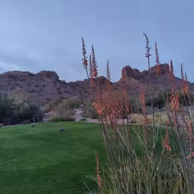 Dinosaur Park - Gold Canyon, AZ