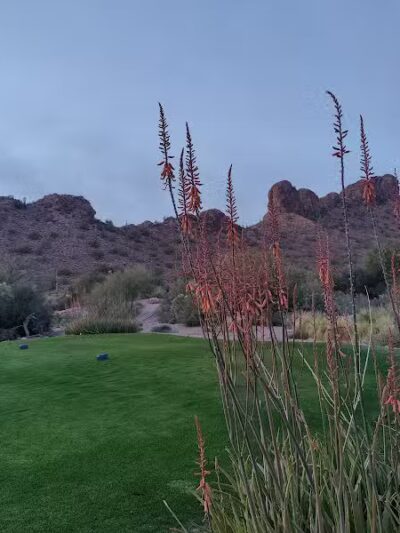 Dinosaur Park - Gold Canyon, AZ