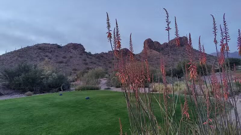 Dinosaur Park - Gold Canyon, AZ