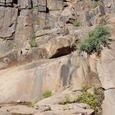 Dinosaur Park - Gold Canyon, AZ