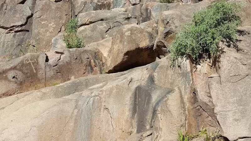 Dinosaur Park - Gold Canyon, AZ