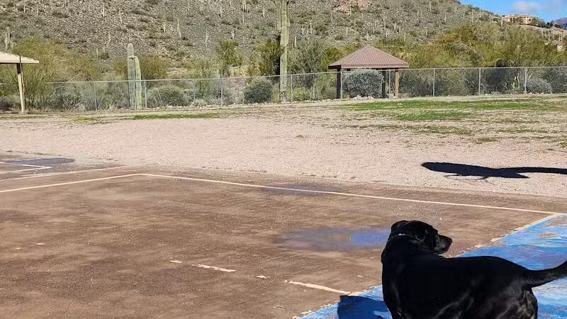 Dinosaur Park - Gold Canyon, AZ