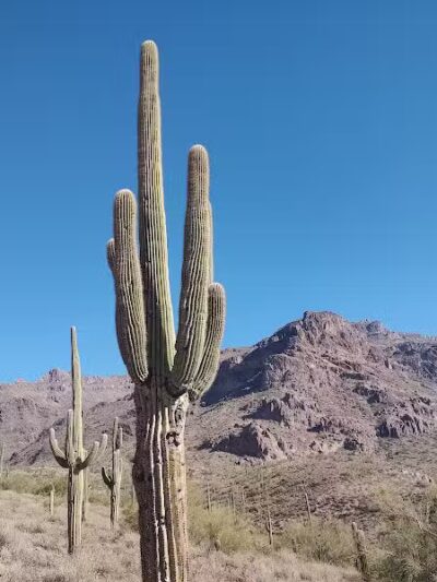 Hieroglyphic Trailhead - Gold Canyon, AZ