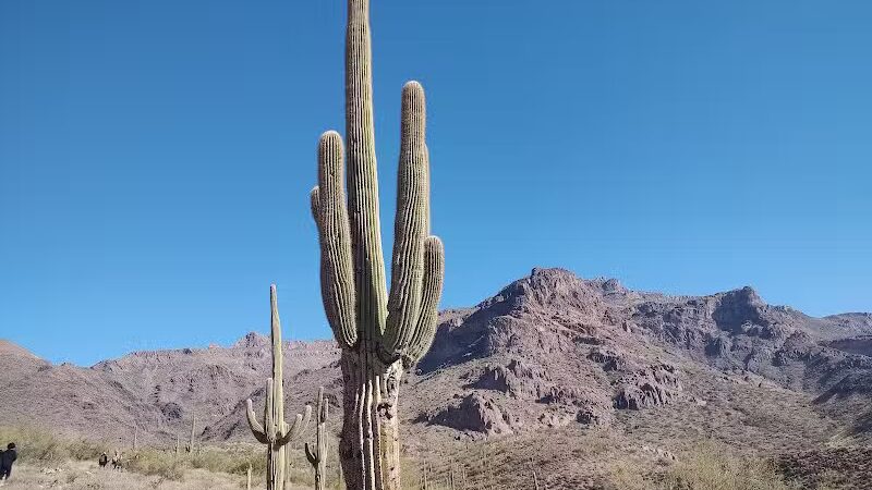 Hieroglyphic Trailhead - Gold Canyon, AZ