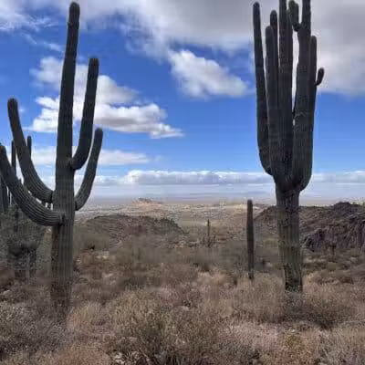 Lost Goldmine Trailhead and Cougar loop - Gold Canyon, AZ