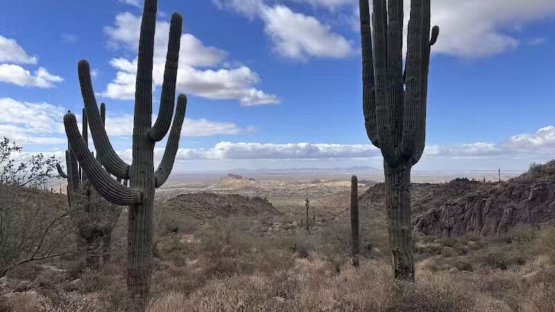 Lost Goldmine Trailhead and Cougar loop - Gold Canyon, AZ