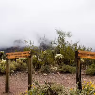 Lost Goldmine Trailhead and Cougar loop - Gold Canyon, AZ