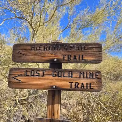 Lost Goldmine Trailhead and Cougar loop - Gold Canyon, AZ
